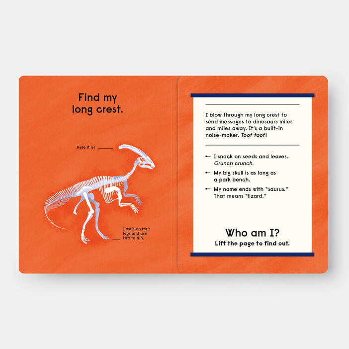 Who's That Dinosaur? An Animal Guessing Game