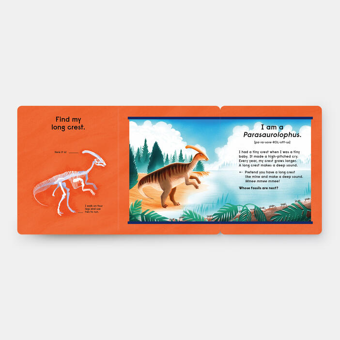 Who's That Dinosaur? An Animal Guessing Game