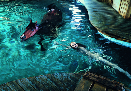 Steven Klein. Horse Pool, Guinevere Van Seenus, Windsor, CT, 2005. All rights reserved