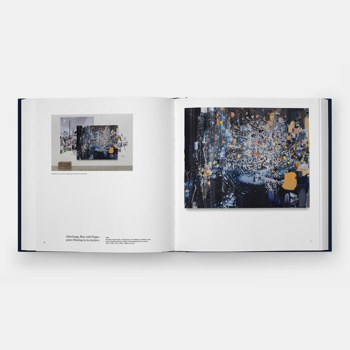 Sarah Sze, Paintings