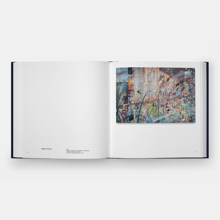 Sarah Sze, Paintings