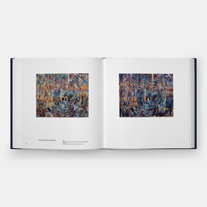 Sarah Sze, Paintings
