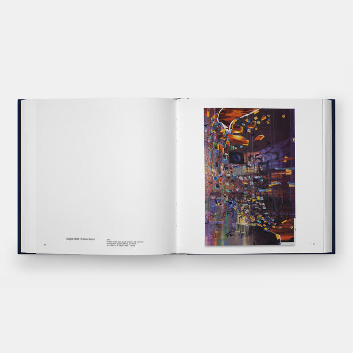 Sarah Sze, Paintings