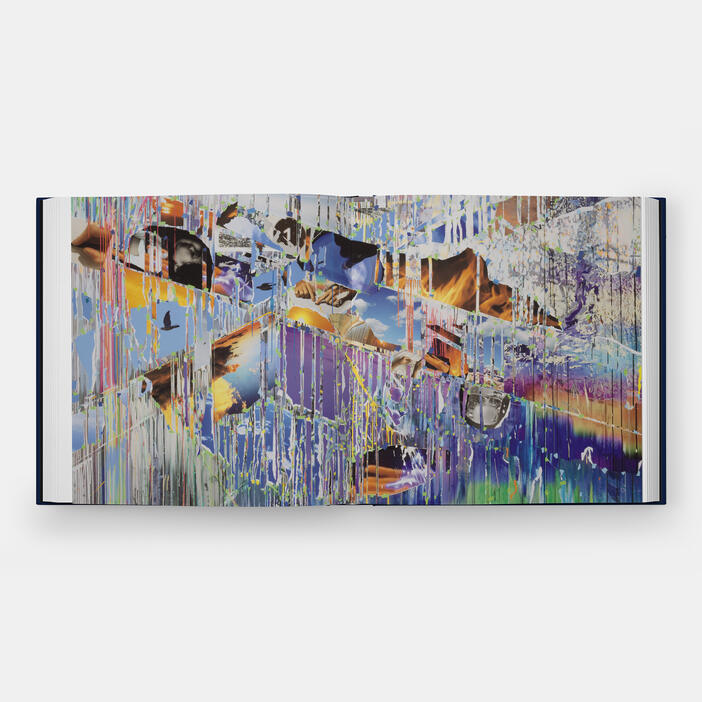 Sarah Sze, Paintings