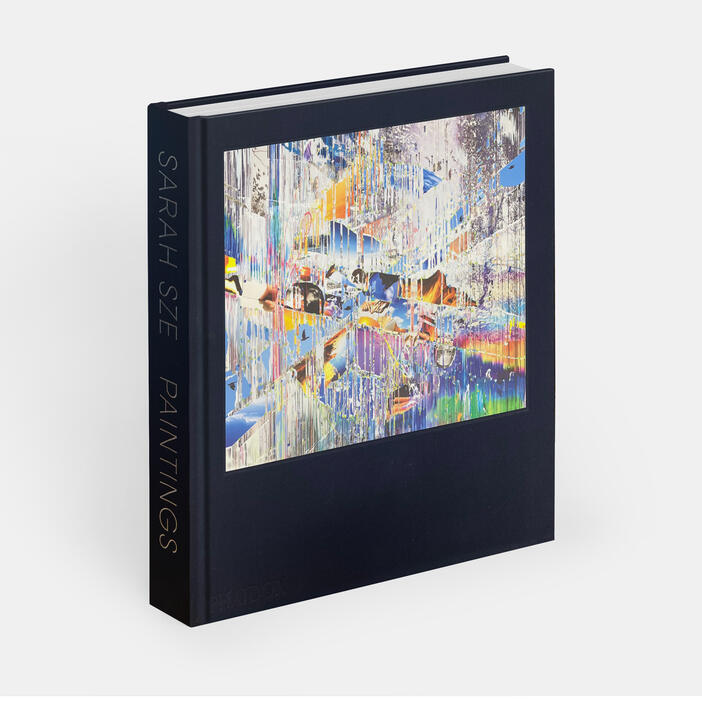 Sarah Sze, Paintings