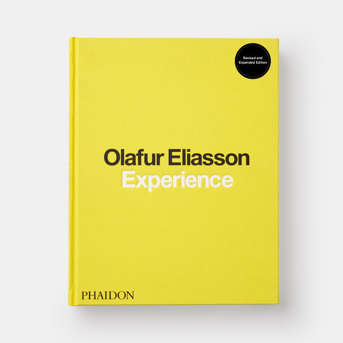 Olafur Eliasson, Experience
