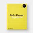 Olafur Eliasson, Experience
