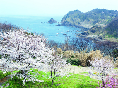 Landscape photography by Aya Brackett from Japan: The Vegetarian Cookbook 