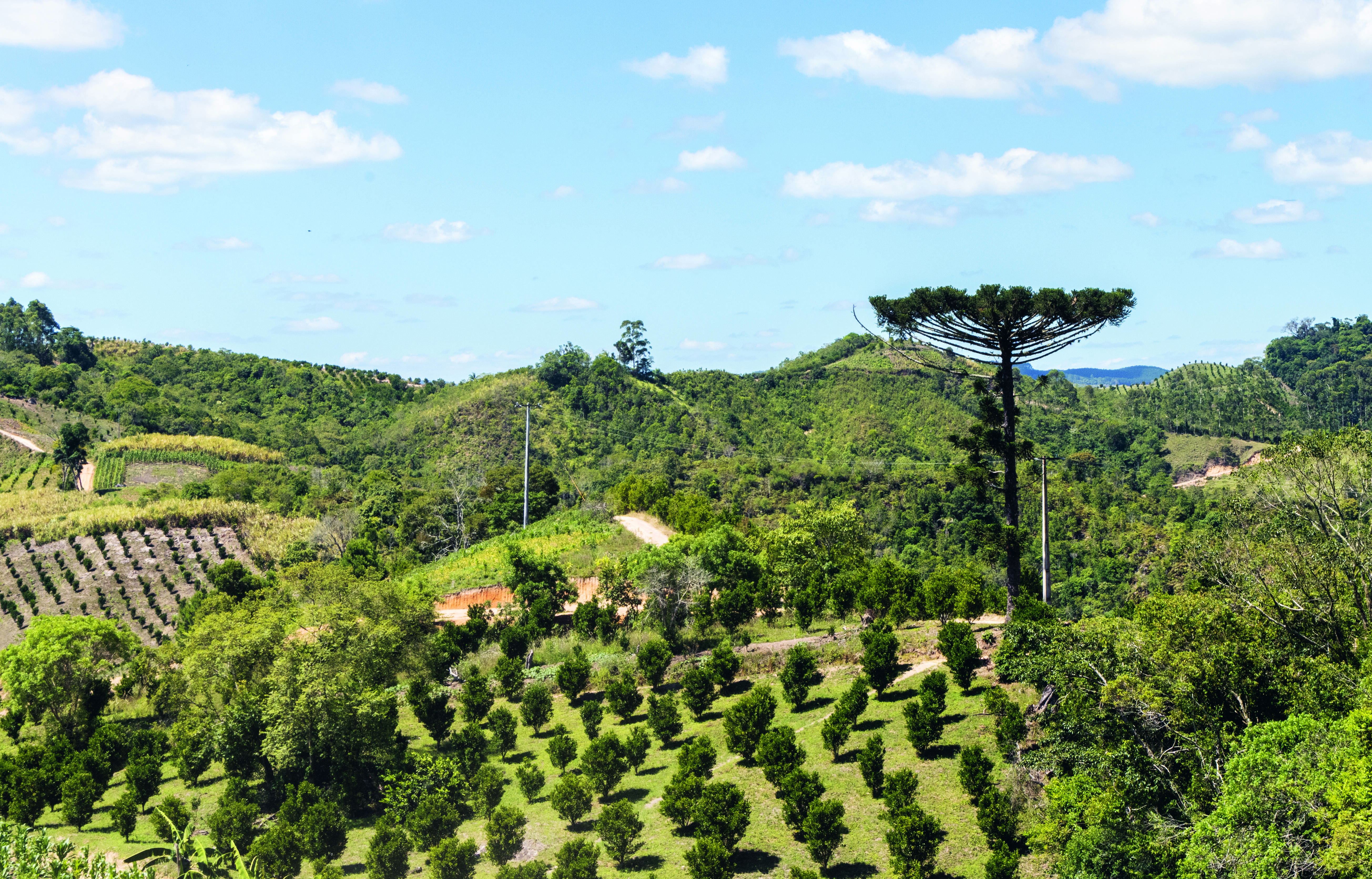 Take a foodie trip through Southern Brazil, with Manoella ‘Manu’ Buffara  