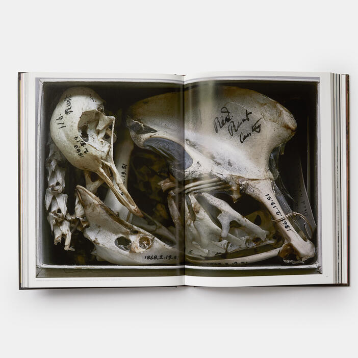 Annie Leibovitz, Portraits 2005-2016 (Signed Edition)