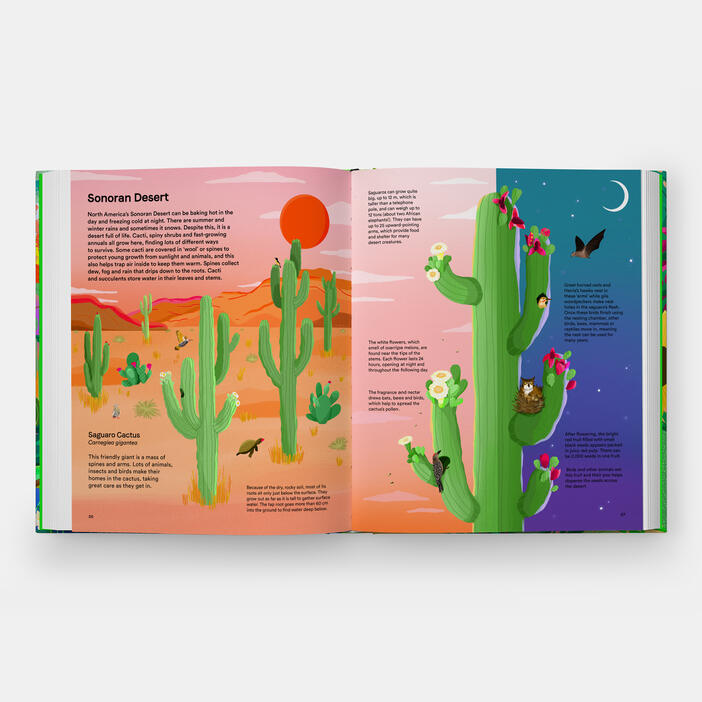 A Home for Every Plant