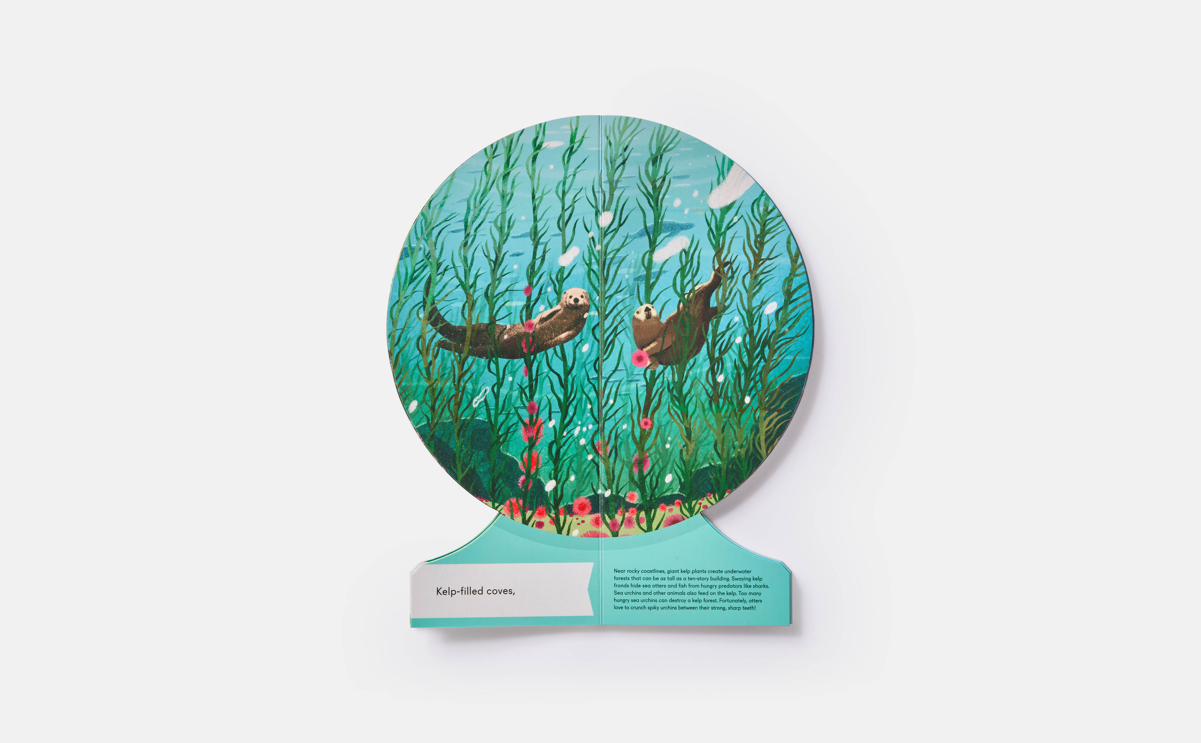 Meet the Phaidon Kids illustrator - Lisk Feng