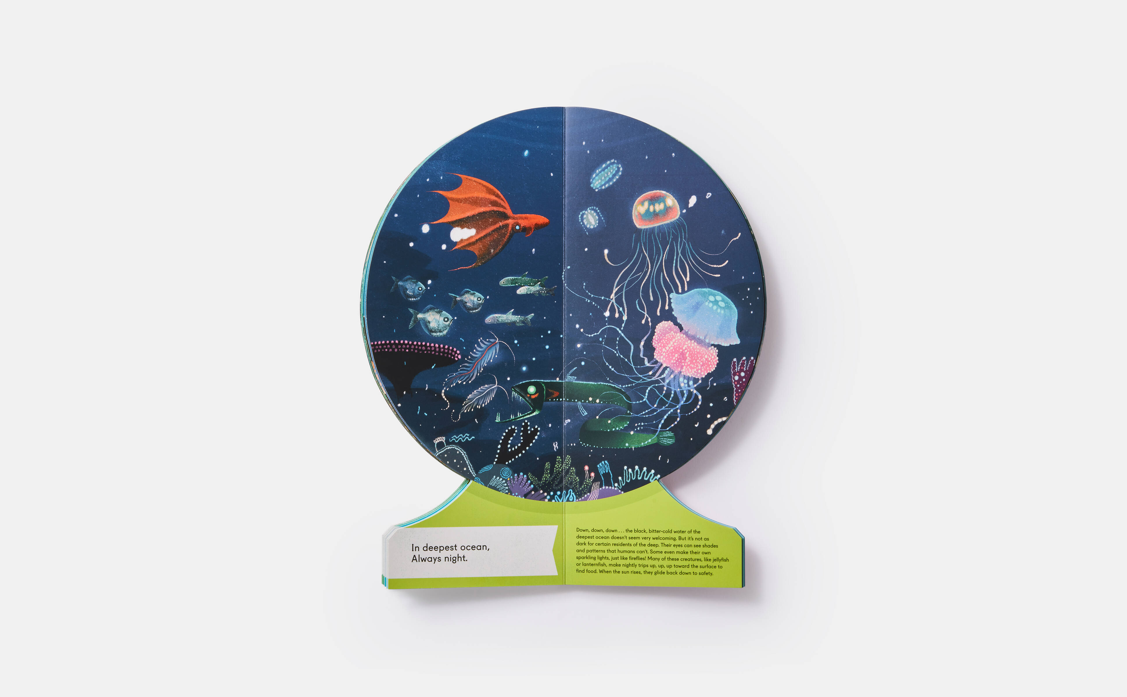 Meet the Phaidon Kids illustrator - Lisk Feng