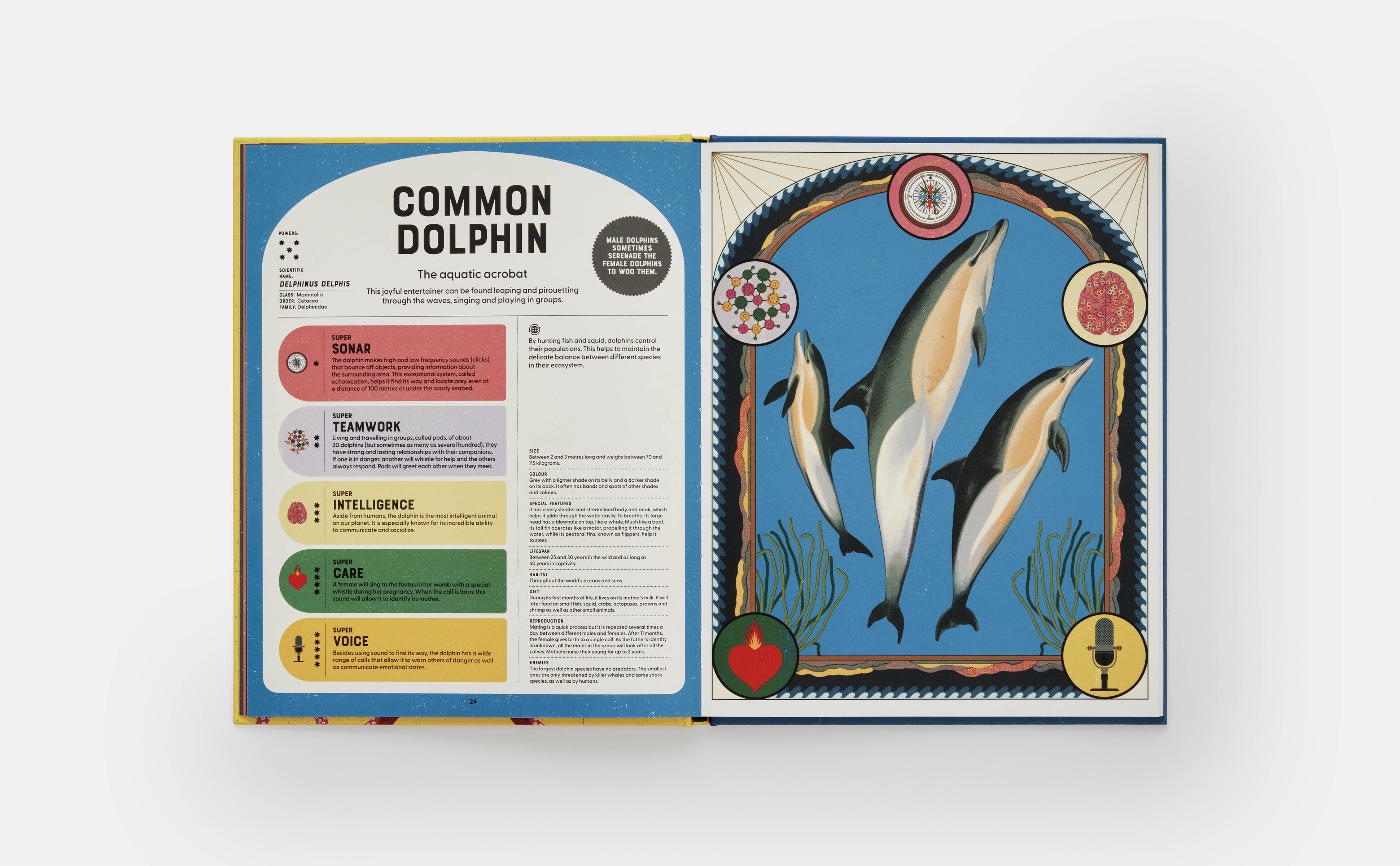 Meet the Phaidon Kids illustrator -Sonia Pulido