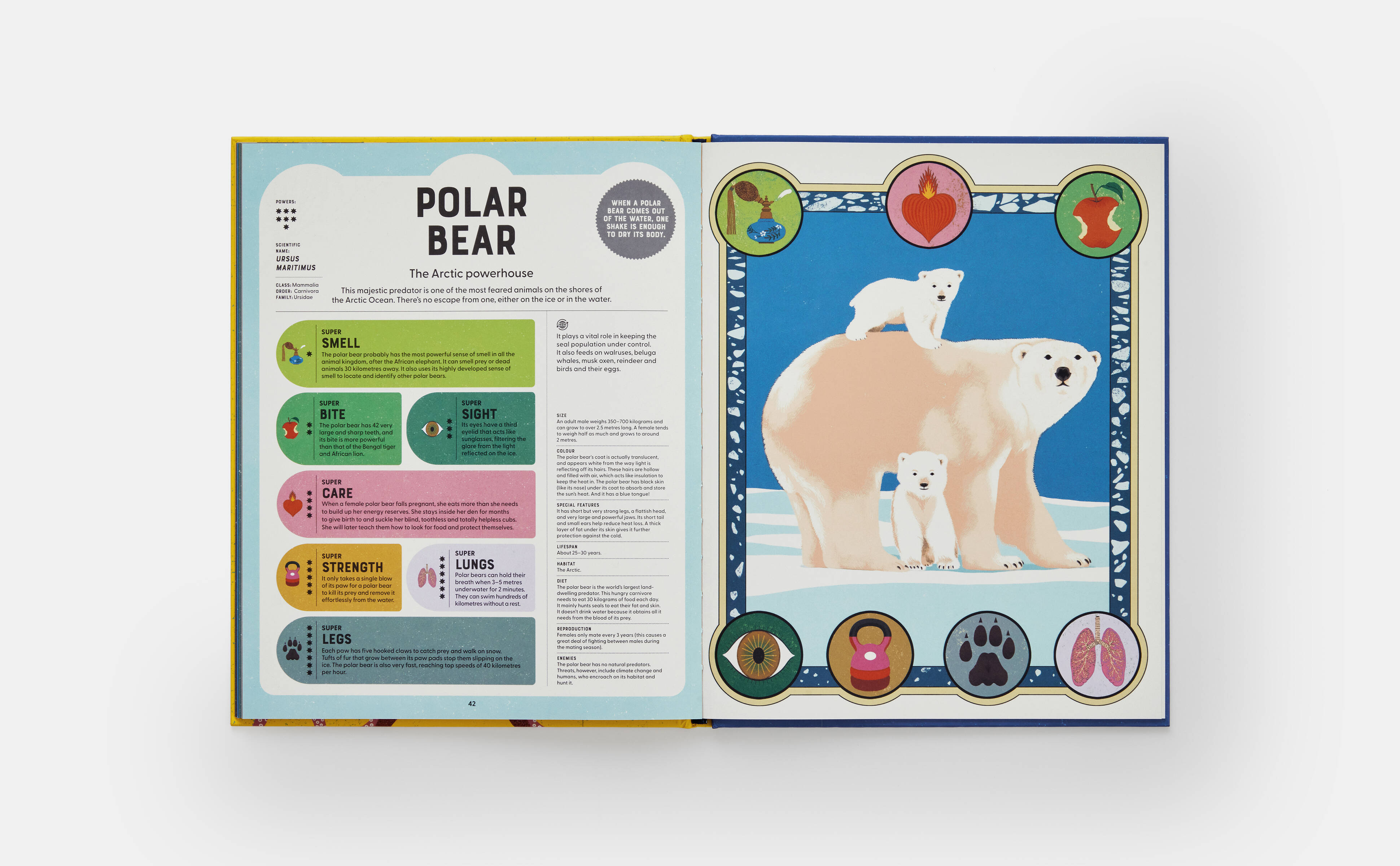 Meet the Phaidon Kids illustrator -Sonia Pulido