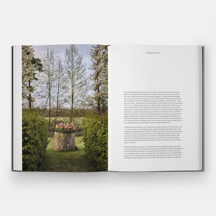 The Tulip Garden | Home and Garden | Store | Phaidon