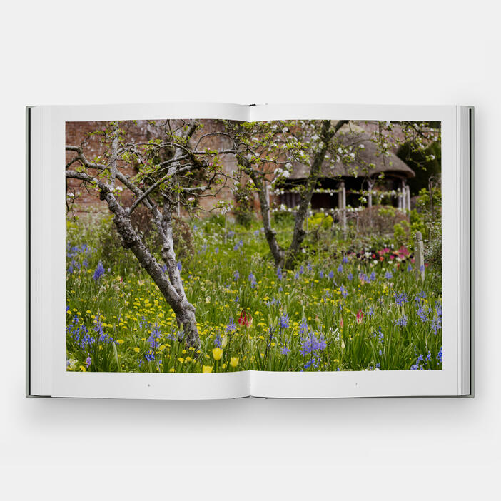 The Tulip Garden | Home and Garden | Store | Phaidon