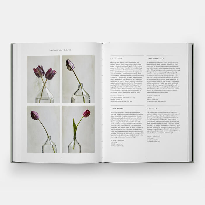 The Tulip Garden | Home and Garden | Store | Phaidon
