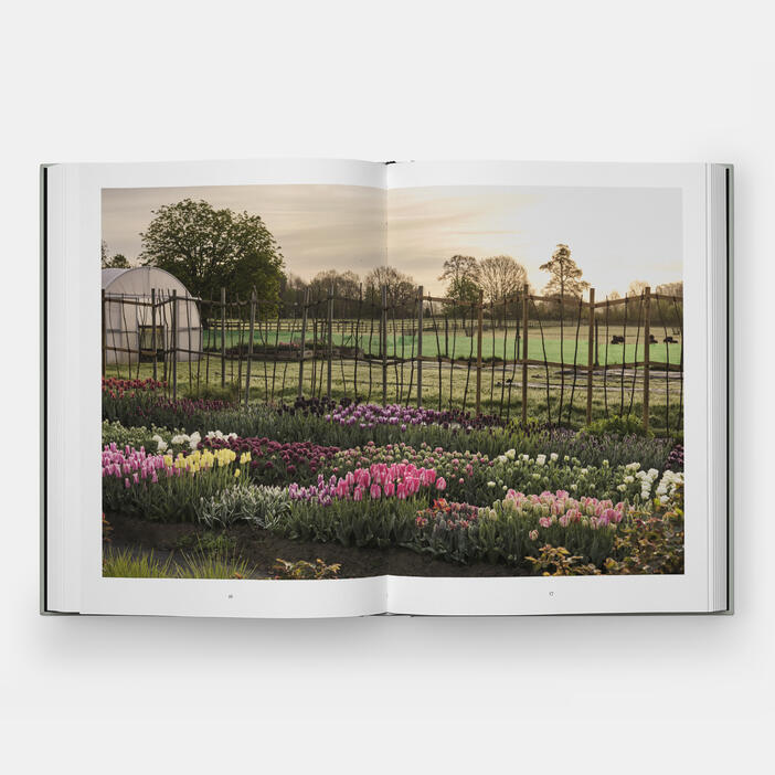The Tulip Garden | Home and Garden | Store | Phaidon