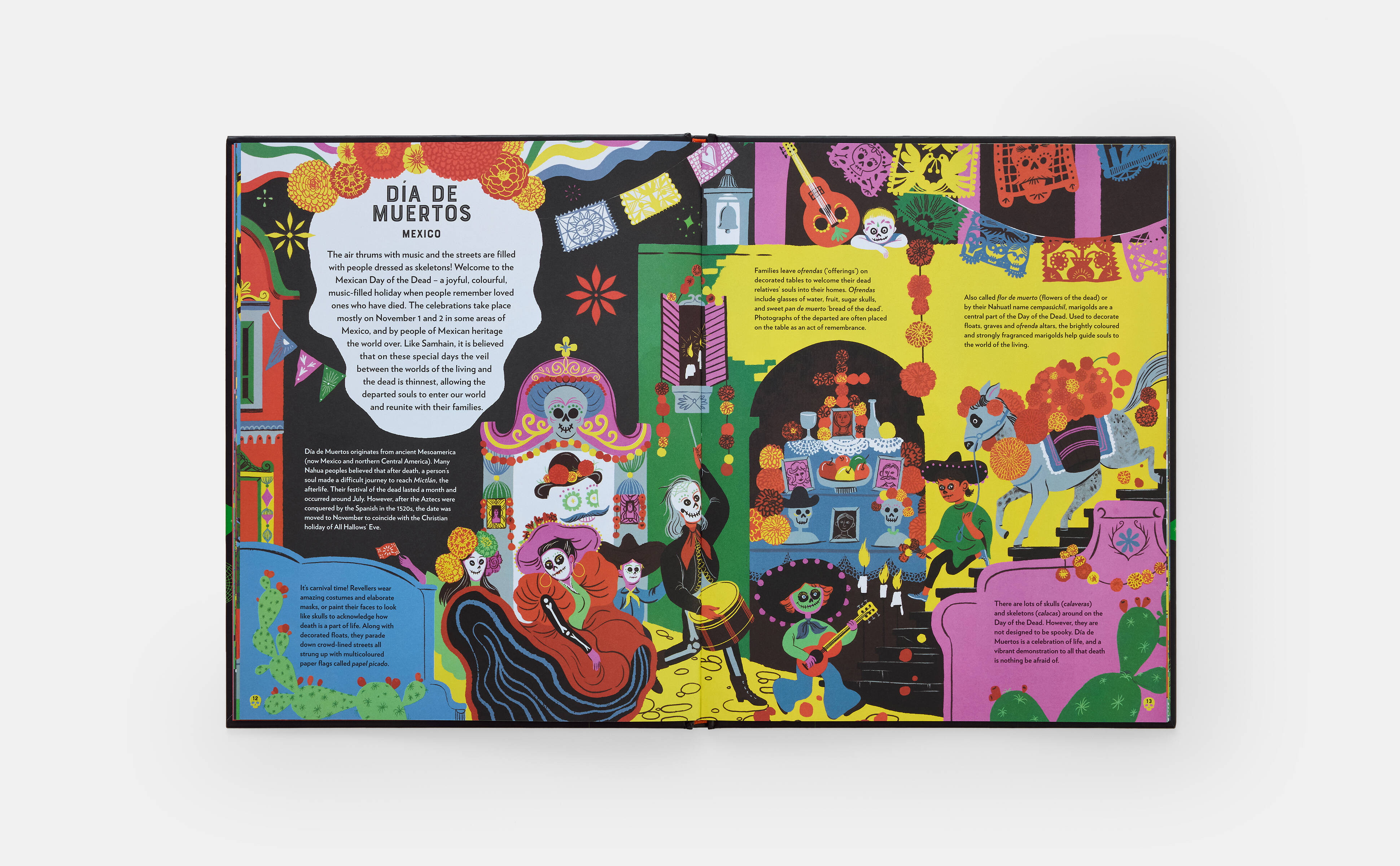 Meet the Phaidon Kids illustrator - Veronika Kotyk