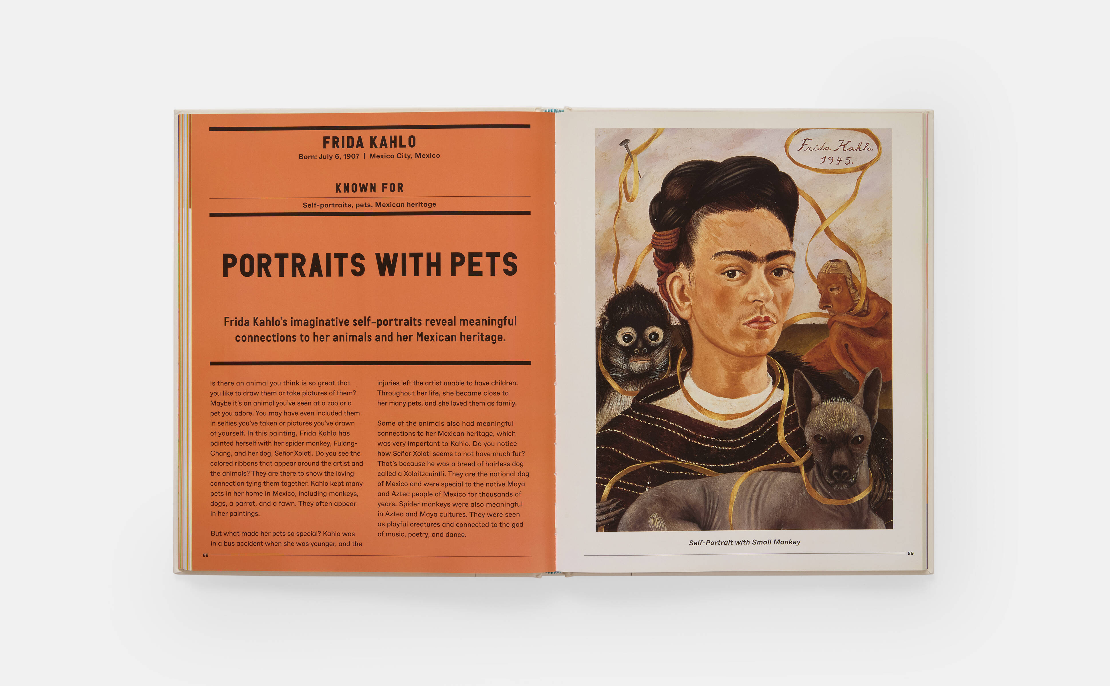 Meet the Phaidon Kids author - Ferren Gipson