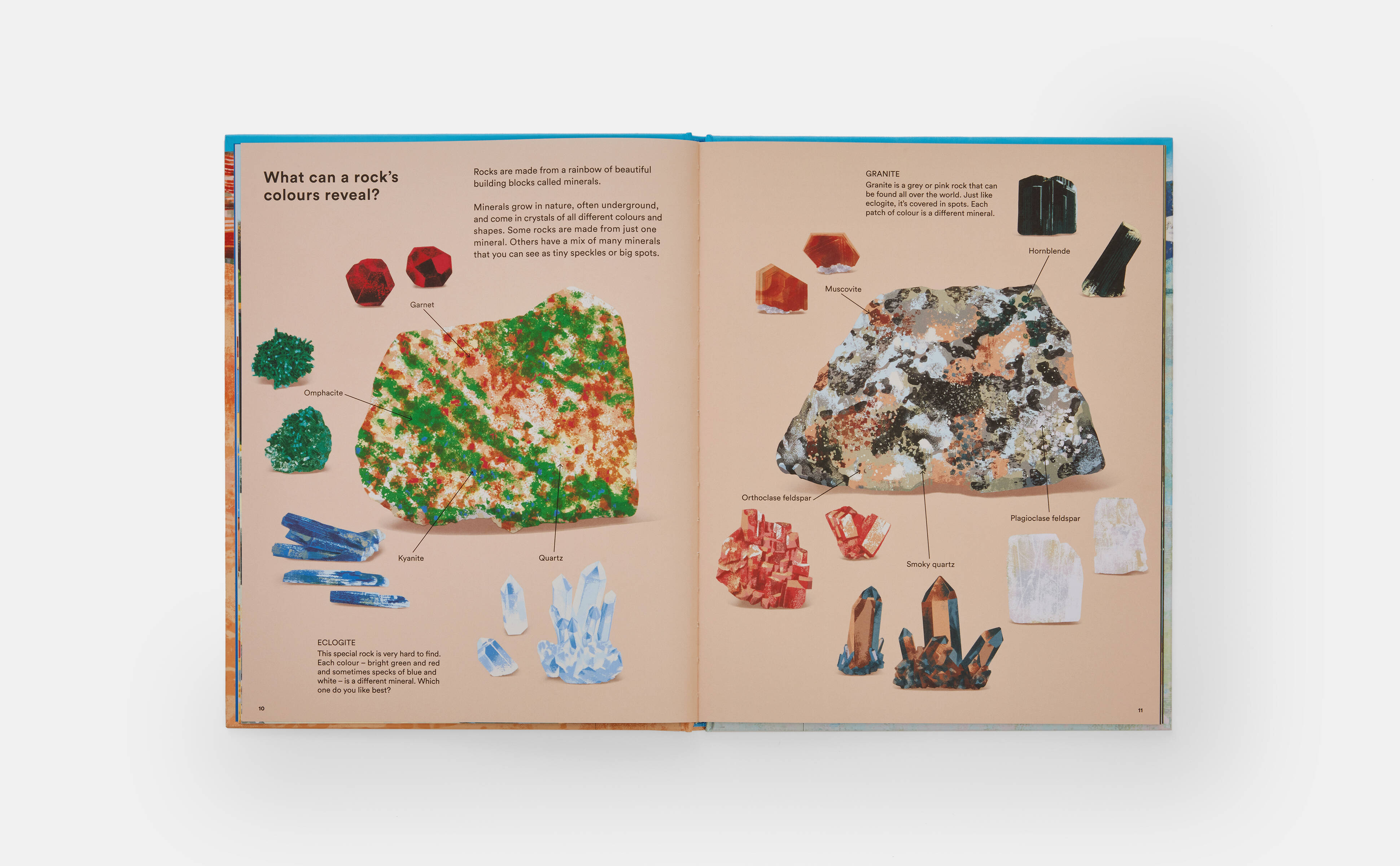 Meet the Phaidon Kids author - Helen Scales