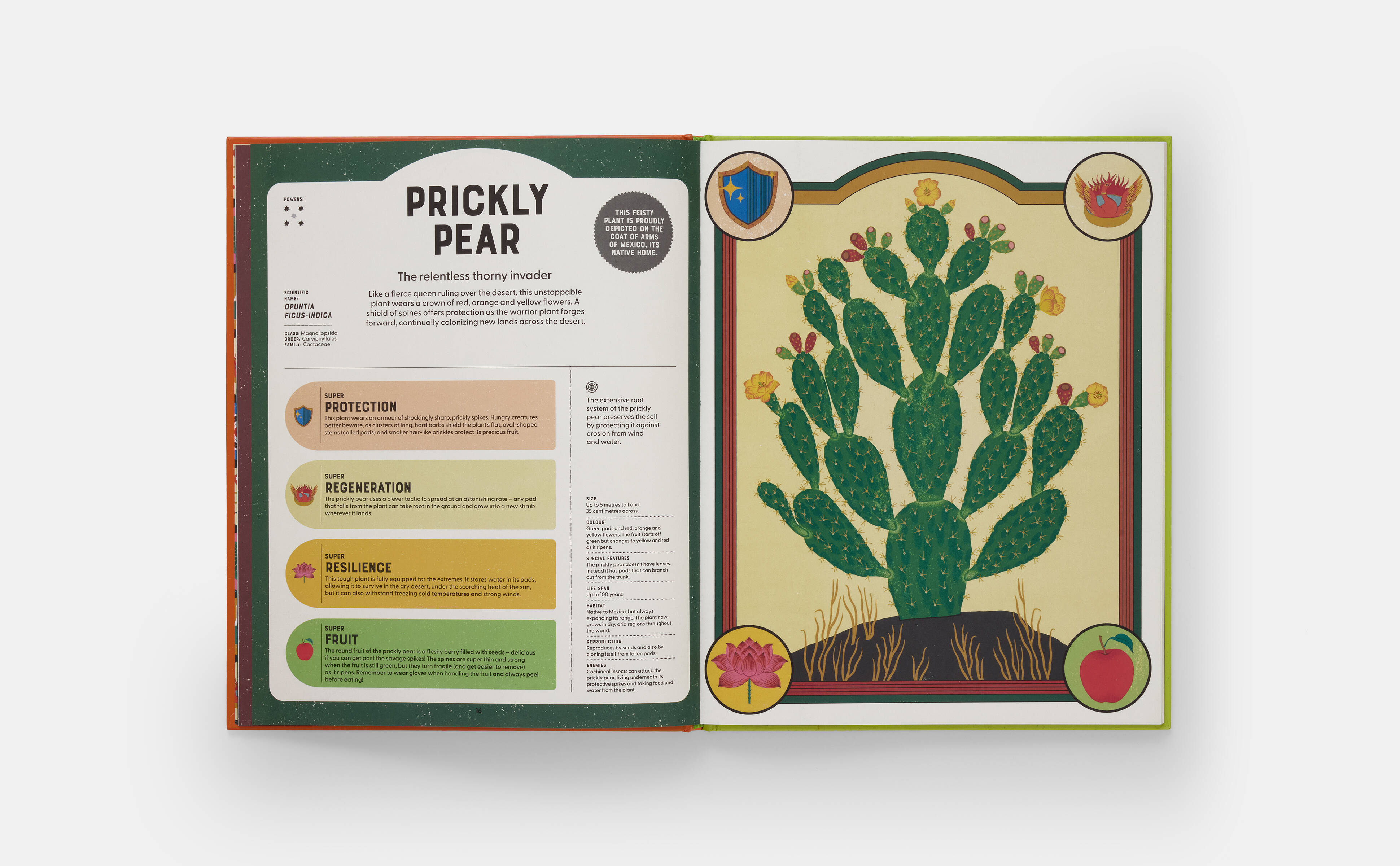 Meet the Phaidon Kids illustrator -Sonia Pulido