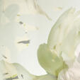 Sherrie Hunt: Poetry of Petals #4 (2012)