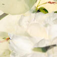 Sherrie Hunt: Poetry of Petals #4 (2012)