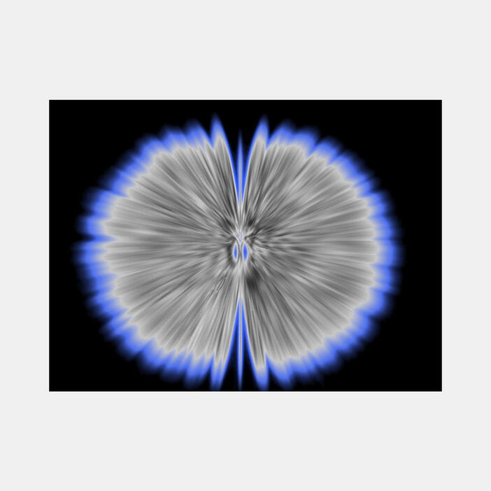 Agnes Denes: Butterfly Experiments in grey (2015)