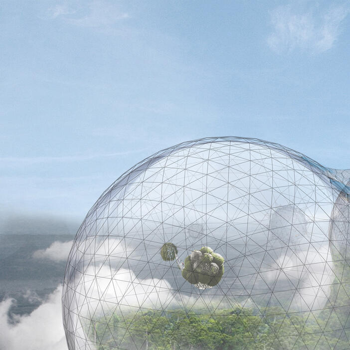 Tomás Saraceno: Biosphere 3 (2015)