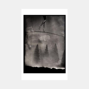 Sharon Haskell: Sleepwalk (2013)