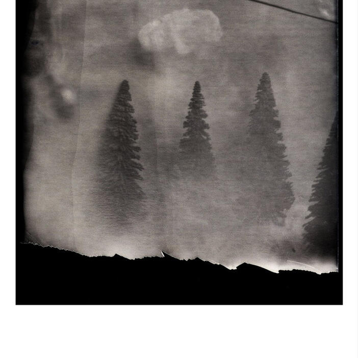 Sharon Haskell: Sleepwalk (2013)