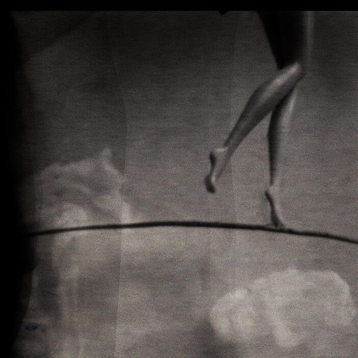 Sharon Haskell: Sleepwalk (2013)