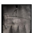 Sharon Haskell: Sleepwalk (2013)