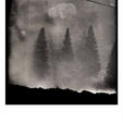 Sharon Haskell: Sleepwalk (2013)