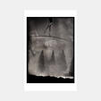 Sharon Haskell: Sleepwalk (2013)