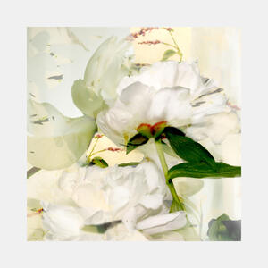 Sherrie Hunt: Poetry of Petals #4 (2012)