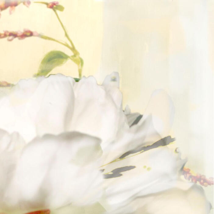 Sherrie Hunt: Poetry of Petals #4 (2012)
