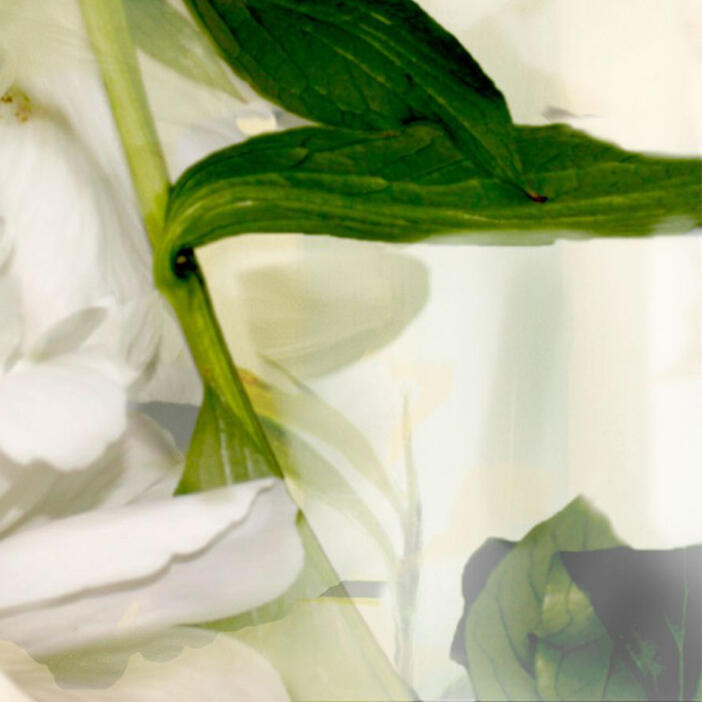 Sherrie Hunt: Poetry of Petals #4 (2012)