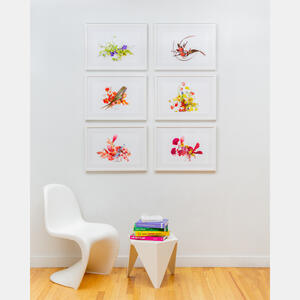Putnam & Putnam: Flower Color Theory, 2021, Set of 6