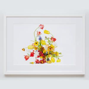 Putnam & Putnam: Flower Color Theory, 2021, Print 4 of 6