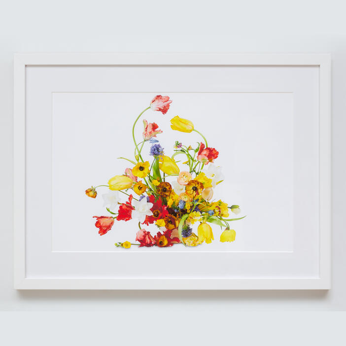 Putnam & Putnam: Flower Color Theory, 2021, Print 4 of 6