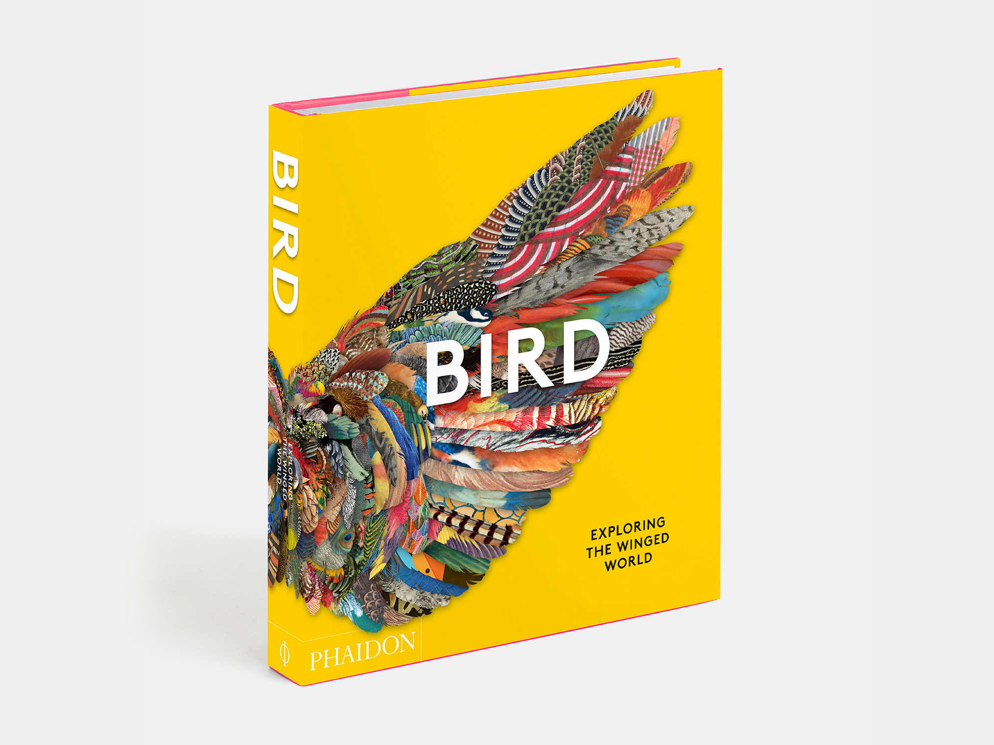 Bird: Exploring the Winged World