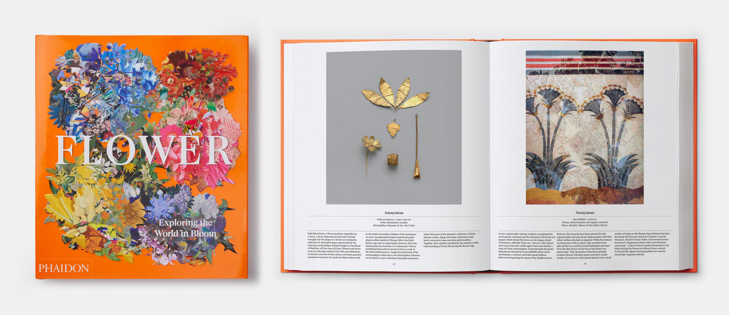 Flower: Exploring the World in Bloom
