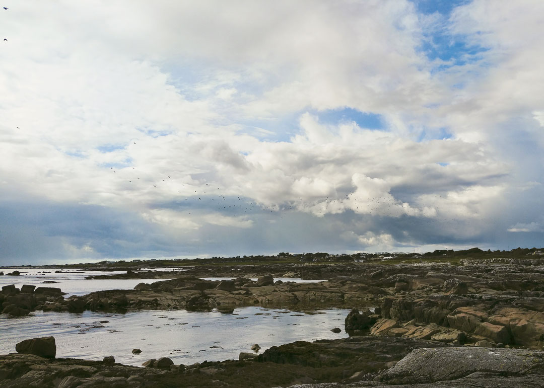 The Irish coastline, from The Irish Cookbook