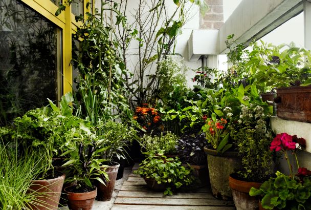 About my Kitchen Garden Lopez Island Kitchen Gardens