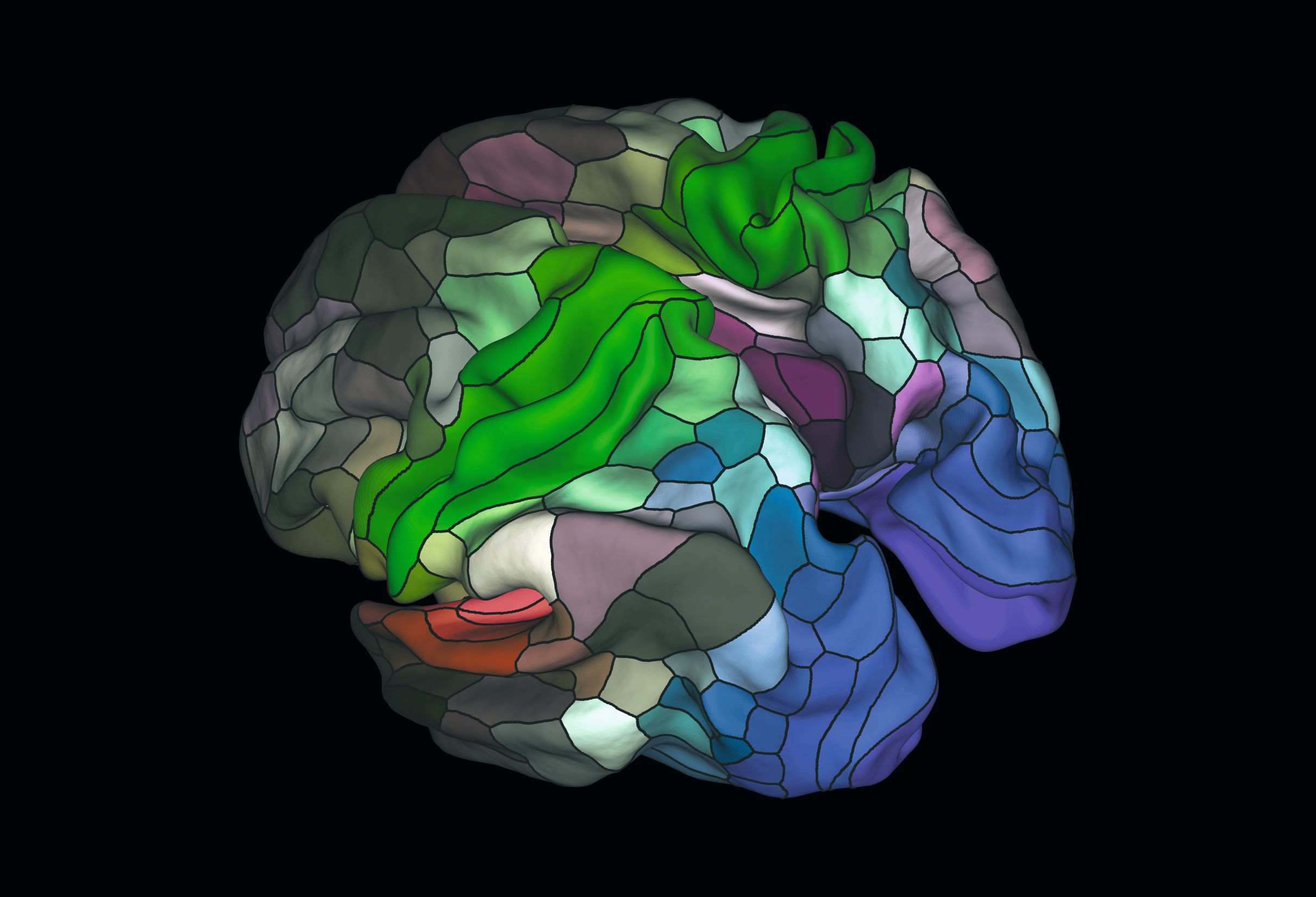 Brain map, 2016, by Matthew F. Glasser and David C. Van Essen. As featured in Anatomy: Exploring the Human Body