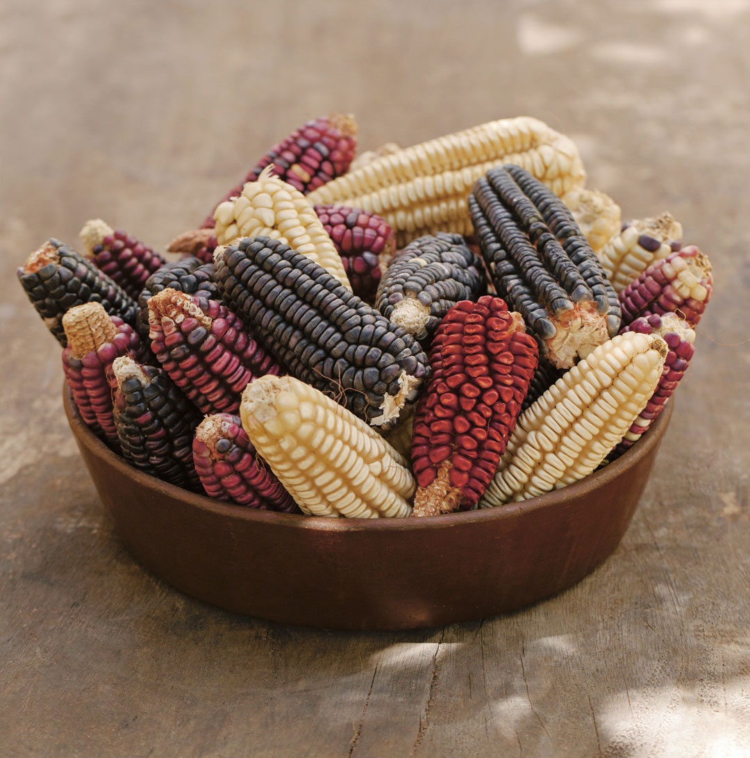 Masa and Corn, from Tu Casa Mi Casa. Photography: Araceli Paz