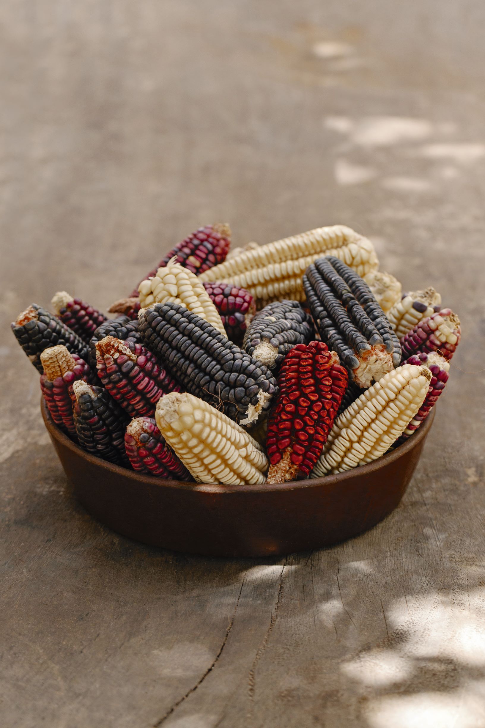 Heirloom corn